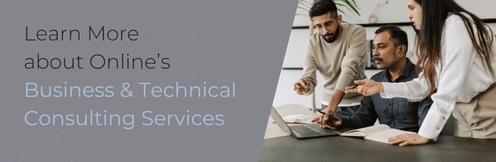 business and technical consulting