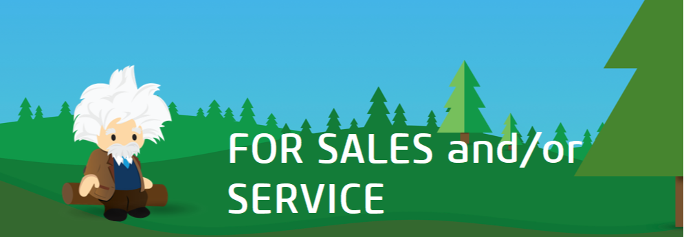 Einstein for Sales and Service-1