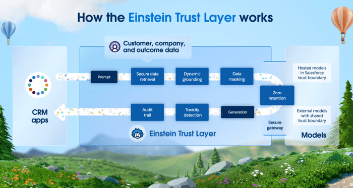 Einstein-Trust-Layer-How-it-Works