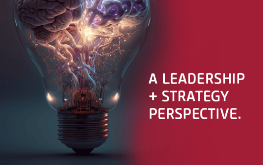 LEADERSHIP + STRATEGY PERSPECTIVE