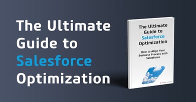 The Ultimate Guide to Salesforce Optimization.-1