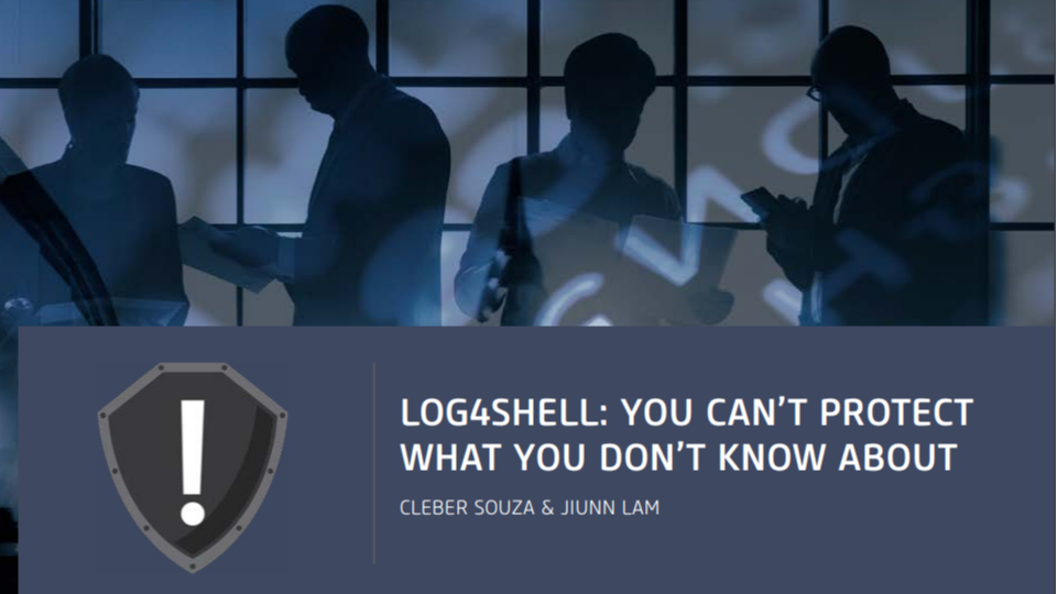 lLog4Shell Insights