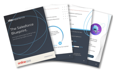 salesforce blueprint graphic (1)